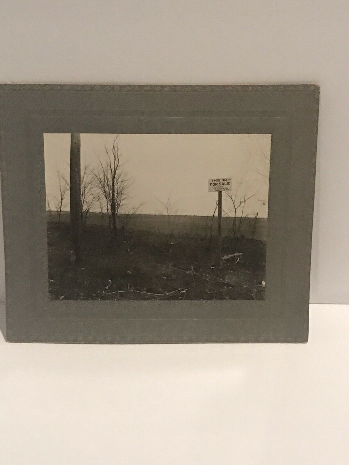 Vintage Photo Cabinet Card Land For Sale Black & White 333